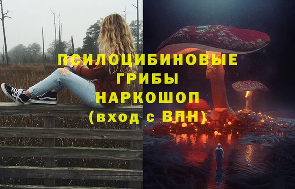дмт Щучье
