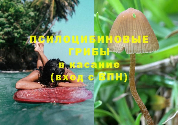 мяу мяу кристалл Щигры