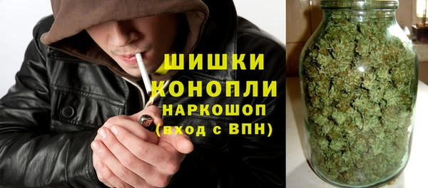 дмт Щучье