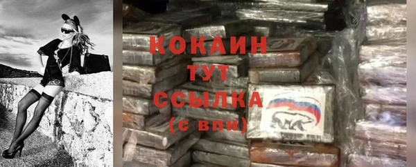 дмт Щучье