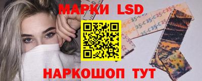 стаф Кимры