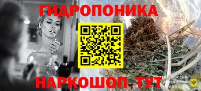 стаф Кимры