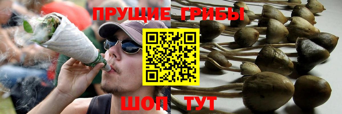 Ярославль  Галлюциногенные грибы ЛСД  Вход с VPN 