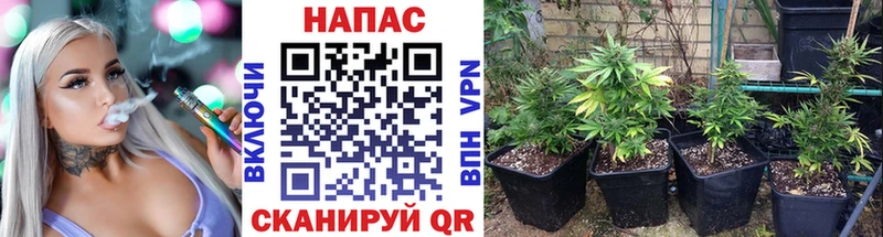 Марихуана марихуана  Ярославль 